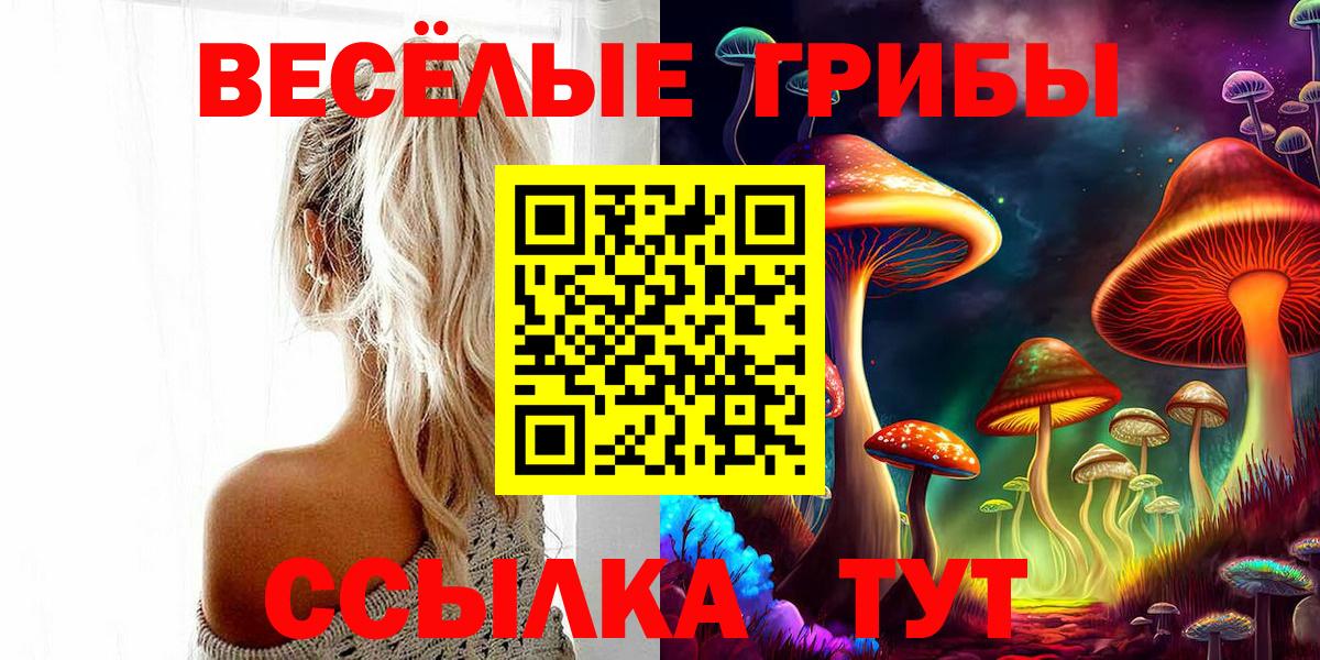 Псилоцибиновые грибы ЛСД  Вход с VPN  купить   Ивантеевка 